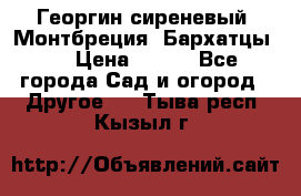 Георгин сиреневый. Монтбреция. Бархатцы.  › Цена ­ 100 - Все города Сад и огород » Другое   . Тыва респ.,Кызыл г.